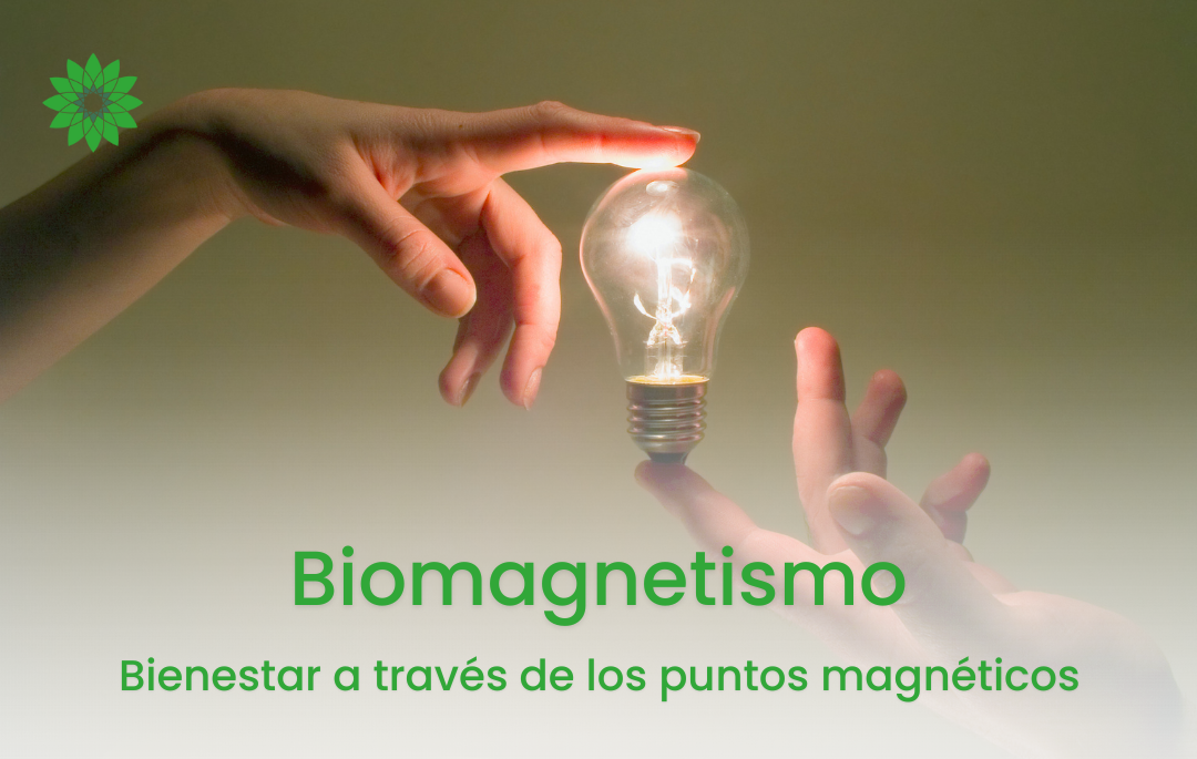 Biomagnetismo Terapéutico – Presencial